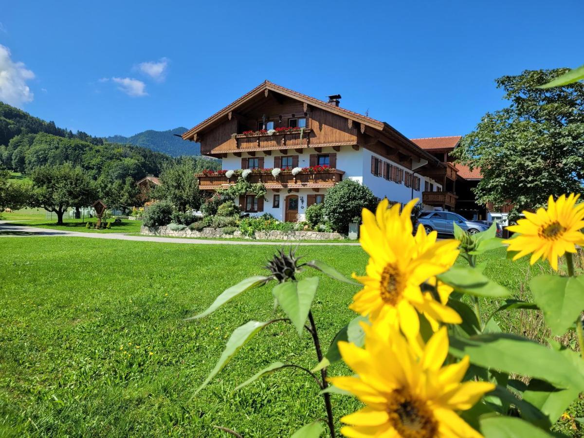 Апартаменты Hoderhof Грассау Экстерьер фото